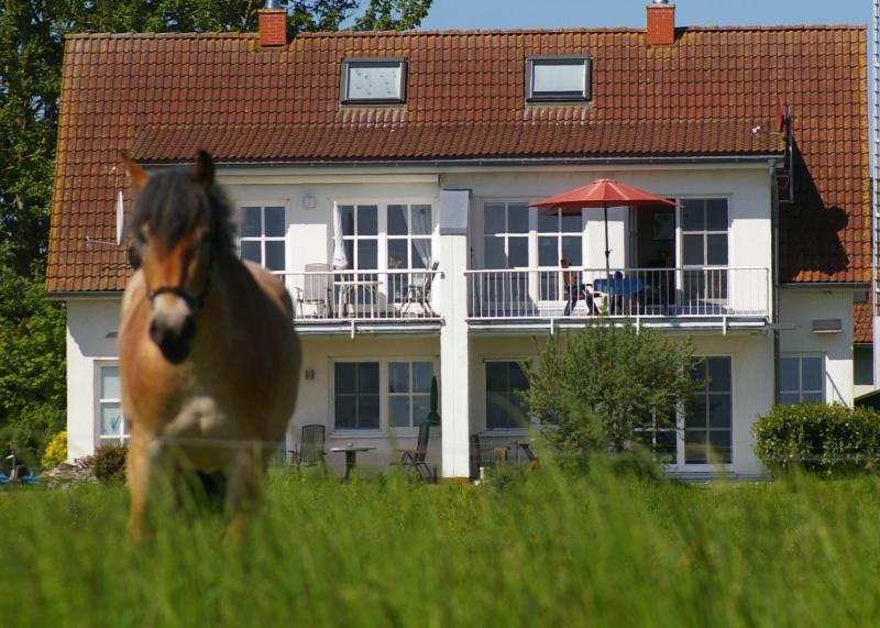 Ferienwohnung Boddenblick Zudar Экстерьер фото